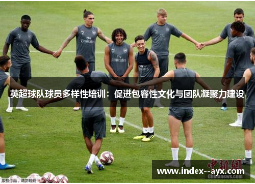 英超球队球员多样性培训：促进包容性文化与团队凝聚力建设