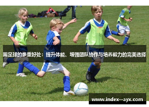 踢足球的多重好处：提升体能、增强团队协作与培养毅力的完美选择
