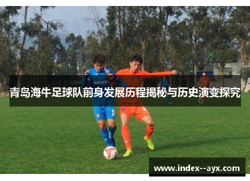 青岛海牛足球队前身发展历程揭秘与历史演变探究