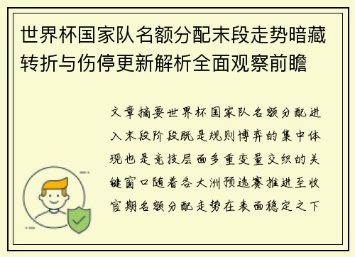 世界杯国家队名额分配末段走势暗藏转折与伤停更新解析全面观察前瞻