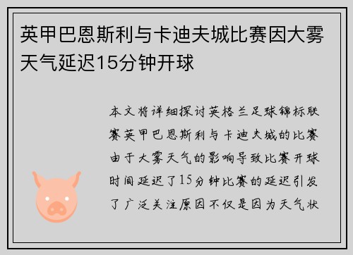 英甲巴恩斯利与卡迪夫城比赛因大雾天气延迟15分钟开球